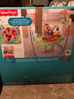 Spielspaß Rainforest Jumperoo von Fisher Price Hessen - Dietzhölztal Vorschau