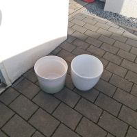 2× Blumentöpfe Baden-Württemberg - Reutlingen Vorschau