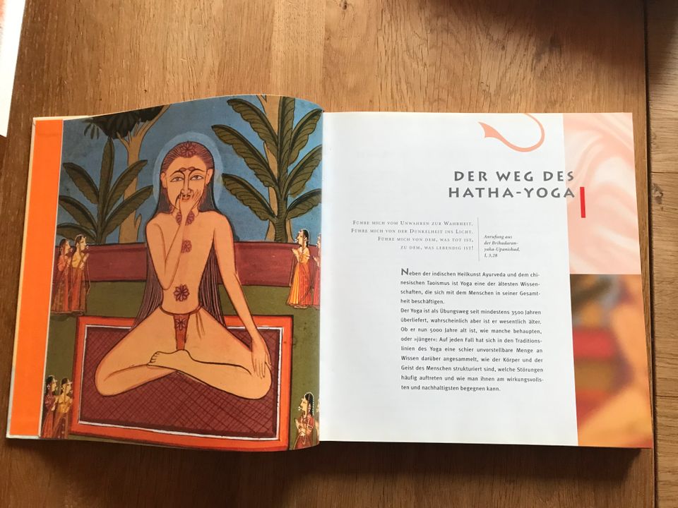 Buch Das große Yoga Buch in Stuttgart