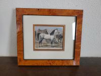Handcoloriert Stich Pferd Araber von 1897 Holzstich antik Hessen - Obertshausen Vorschau
