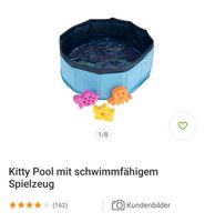 Swimmingpool für Katzen Nordrhein-Westfalen - Hamm Vorschau