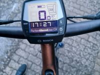 Pegasus E-Bike Dithmarschen - Brunsbuettel Vorschau