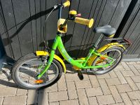 Kinderfahrrad 18 Zoll delphin Sachsen-Anhalt - Dessau-Roßlau Vorschau