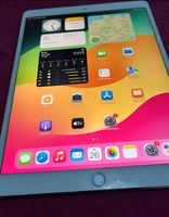 iPad Pro (10,5 Zoll) 256 GB Nordrhein-Westfalen - Datteln Vorschau