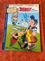 Asterix und Obelix „der Gallier“ Baden-Württemberg - Mannheim Vorschau