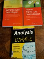 Tutorium, Analysis für Dummies, Mathematik zum Studienbeginn Mecklenburg-Vorpommern - Belsch Vorschau