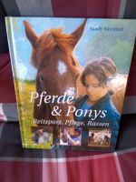 Pferde &Ponys, Reitsport, Pflege, Rassen, Kinderbuch Bayern - Ellingen Vorschau