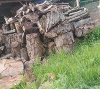 Holz zu verkaufen Nordrhein-Westfalen - Barntrup Vorschau