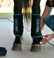 LAGERRÄUMUNG Horseware Kühlgamasche UVP 269,95 bei uns 179.- Ice Fibe mit Vibration mit Klett, Gamaschen,Stallgamaschen,Fesselkopfgamaschen, entzündungshemmend,mit Eispack,Regeneration L, XL Nordrhein-Westfalen - Kempen Vorschau