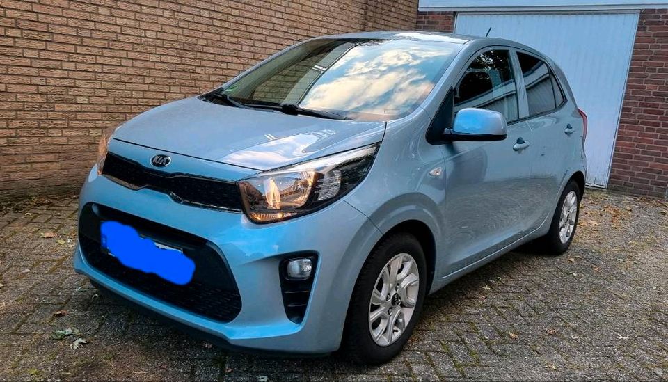 Kia Picanto 1.0 UNFALLFREI in Lingen (Ems)