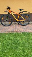 Herren-Fahrrad Sachsen-Anhalt - Köthen (Anhalt) Vorschau