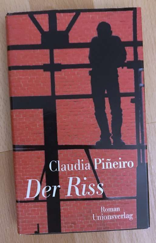 Buch: Der Riss von Claudia Piñeiro, Roman - 9783293004313 in Wolfratshausen