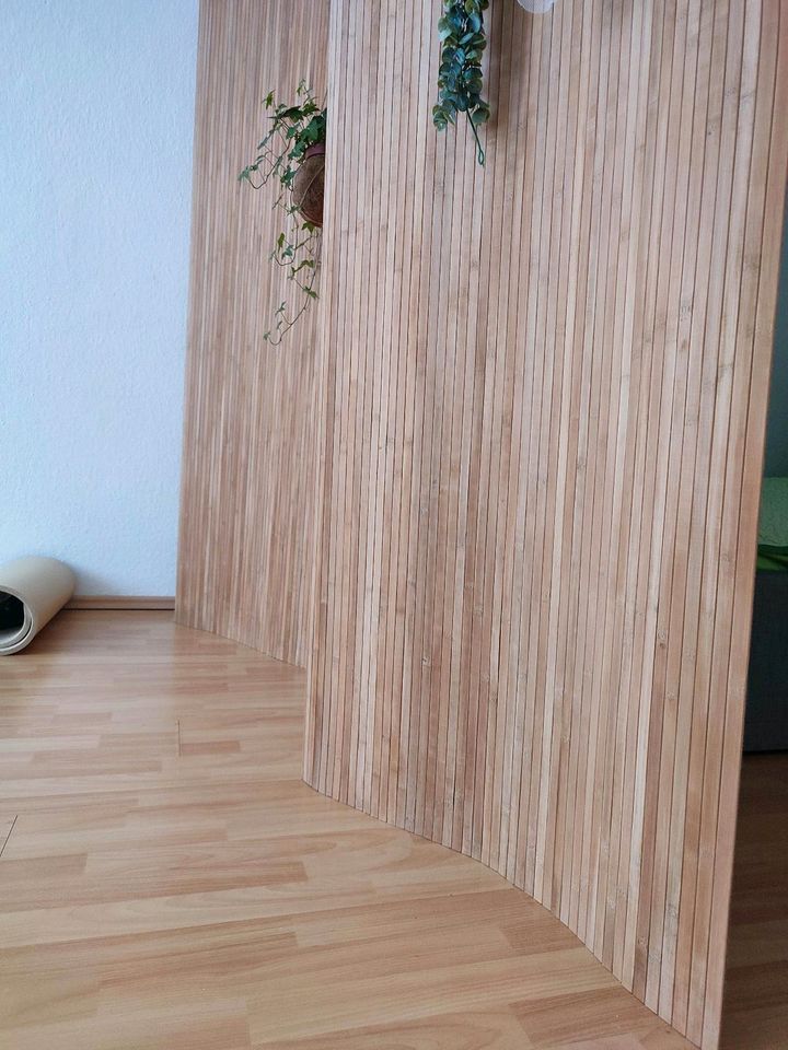 Bambus Raumteiler in Braunschweig