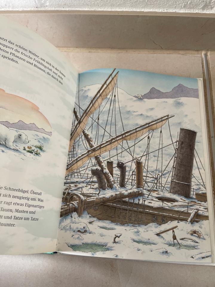 Kleiner Eisbär in der Walbucht von Beer Bilderbuch /2 in Nürnberg (Mittelfr)