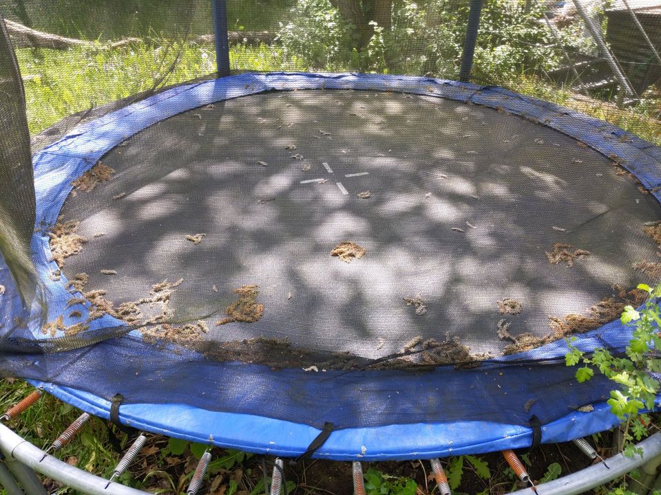 Großes Trampolin für den Garten in Siegen