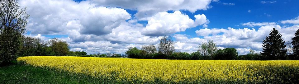 Acker - Grünland, Wiesen - Flächen pachten in Langenpreising