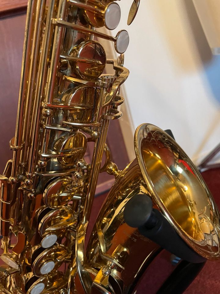 Altsaxophon Startone in Wardenburg