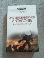 Warhammer 40000, Das Verderben von Antagonis Nordrhein-Westfalen - Kaarst Vorschau