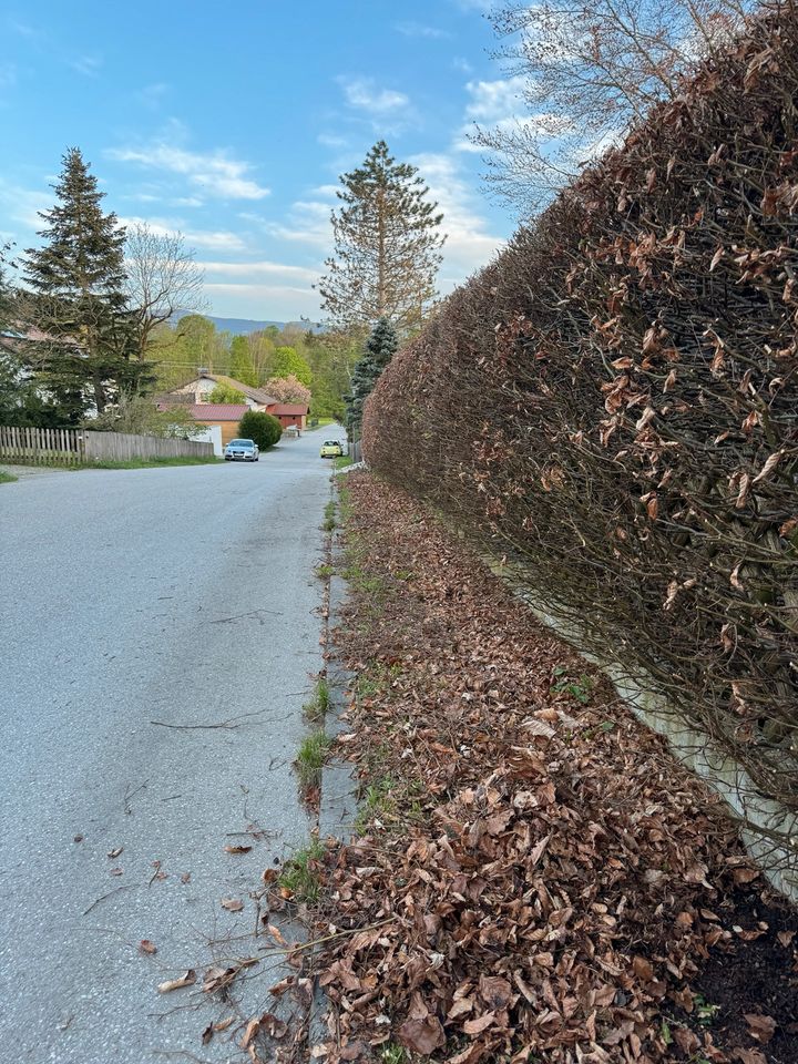 Hausmeisterdienste - Garten und Malerarbeit in Starnberg