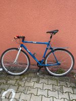 Fixie Fahrrad Single Speed L Nürnberg (Mittelfr) - Oststadt Vorschau