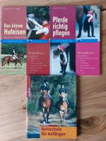 3 Bücher "Das kleine Hufeisen" Bayern - Blindheim Vorschau