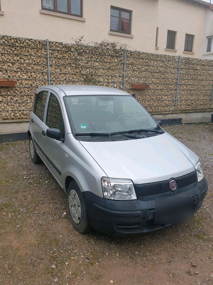 Fiat Panda Active in Lustadt