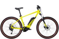 Bulls LT CX 29" | Gr. 54 cm | E-MTB Hardtail | NEU Bayern - Kronach Vorschau