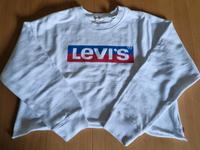 WIE NEU Levis Levi's M weiß Langarm Oversize Sweatshirt Crop Hessen - Heringen (Werra) Vorschau
