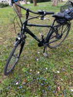 TELEFUNKEN E-Bike Trekking Expedition Fahrrad 28 Zoll Stuttgart - Vaihingen Vorschau