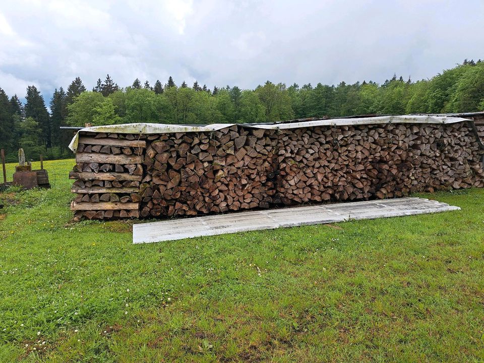 Brennholz Fischte in Olzheim