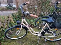 Holland Fahrrad | Beige (26er) Bielefeld - Bielefeld (Innenstadt) Vorschau