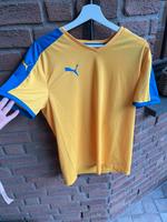 Puma Sport T-Shirt Herren L Rheinland-Pfalz - Nickenich Vorschau