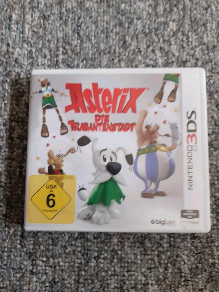 Nintendo 3 DS Spiele in Tannenbergsthal