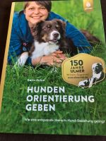 Hunden Orientierung geben von Karin Actun Nordrhein-Westfalen - Ennepetal Vorschau