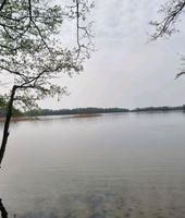Suche Teich See Gewässer Teichanlage Angelteich in MV oder BB Mecklenburg-Vorpommern - Userin Vorschau