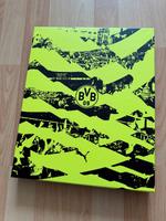 BVB Neon Trikot #Riedle Hessen - Homberg (Efze) Vorschau