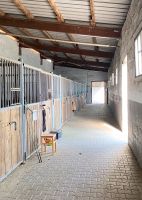 Pferde /Pony Boxen in Reitanlage für Selbstversorger Bayern - Höchstadt Vorschau