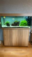 Juwel Aquarium Rio 180L, inkl Innenraumfilter Fische Deko Hessen - Bad Emstal Vorschau