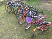 Pegasus 20, 24 und 26, 28 Zoll, 12 und 16 Zoll Kinderfahrrad Brandenburg - Walchow Vorschau