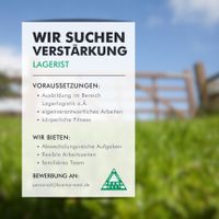 Mitarbeiter für Lagerlogistik (m/w/d) gesucht! Brandenburg - Treuenbrietzen Vorschau