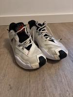 Jordan Basketball Schuhe Sneaker 42 Niedersachsen - Vechta Vorschau