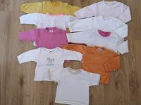 8 Pullover und 1 Kurzarm T-Shirt Größe 62/68 Mädchen Sachsen - Leubsdorf Vorschau