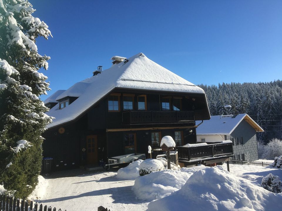 1,5-Zimmer-Ferienwohnung mitten im Schwarzwald, Feldberg in Freiburg im Breisgau