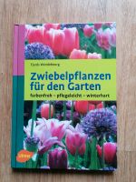 Zwiebelpflanzen für den Garten, Tjards Wendebourg Baden-Württemberg - Freiburg im Breisgau Vorschau