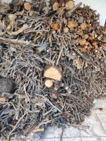 Brennholz gemischt geschnitten trocken Bayern - Igling Vorschau