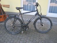 Herren Fahrrad Winora Jamaika 28 Zoll Rahmenhöhe 58 Bonn - Hardtberg Vorschau