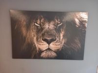 Schönes großes Löwenbild auf einem Keilrahmen zu verkaufen  Maße Hessen - Birstein Vorschau