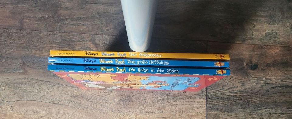 Winnie Puuh Gute-Nacht-Geschichten / Kinderbuch / Entdecke in Thum
