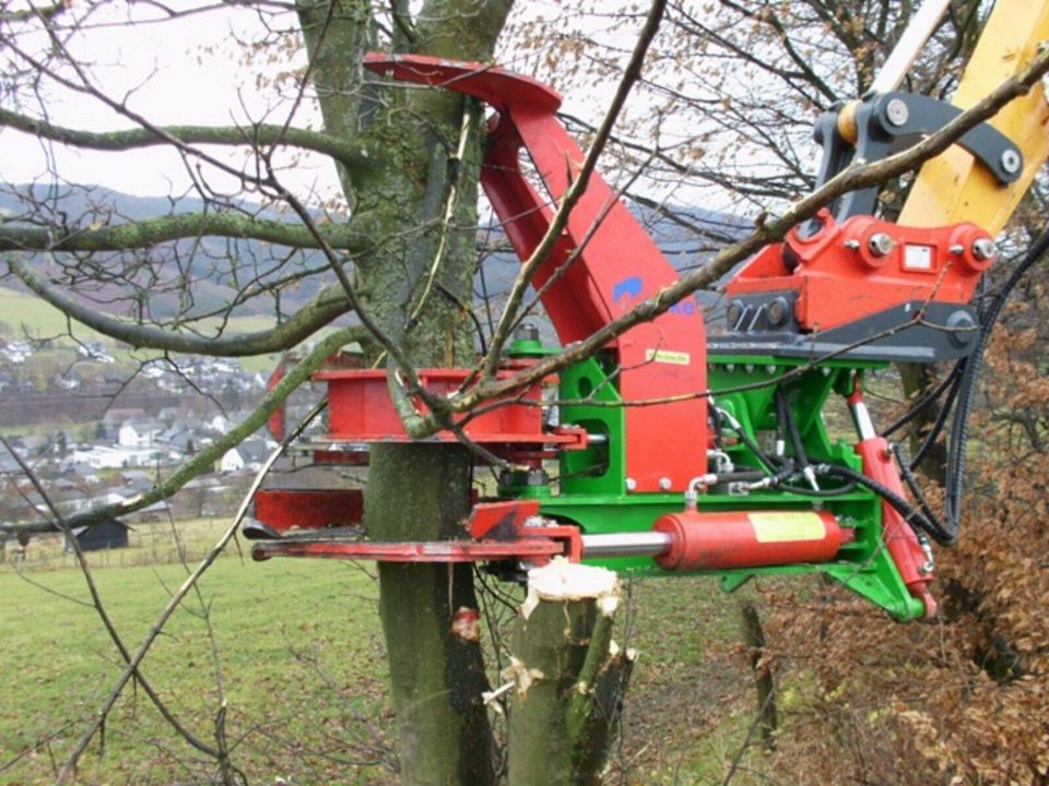 Fällgreifer Baumschere Energieholzernte Bagger Rodungen HBS 300 in Roßbach