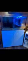 Meerwasseraquarium Aquamedic armatus 300 Baden-Württemberg - Glatten Vorschau